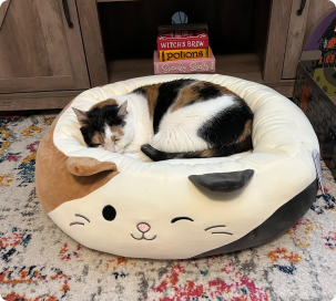 Squishmallow Cam The Calico Cat Pet Bed