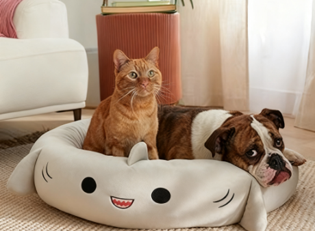 Squishmallow Gordon Shark Pet Bed