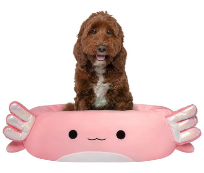 Squishmallows Archie The Axolotl Pet Bed